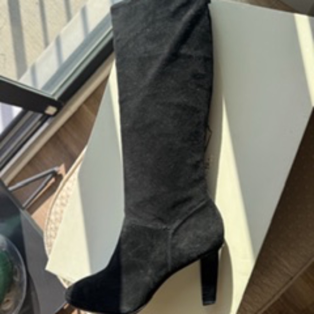 Coach Mina Hi Heel Suede Boot